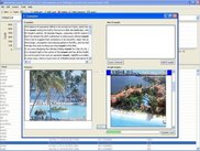 Examples editor panel