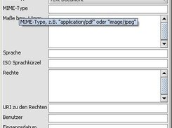 The metadata editor of mf8MamSuite (German locale selected)