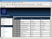 Pages on the system