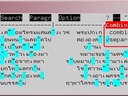 Separated display of combining characters and open flag menu