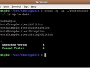 Green! all 4 automatic tests are passing, so do not show any