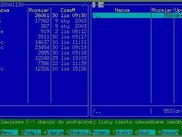 A window without title bar
