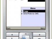 Visualizing one photo; Copy and SMS options available