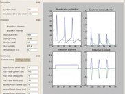 Squid Axon Demo
