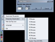 Temporary Deactivation SysTray Option and Time Entry Window