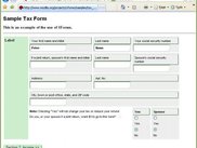 IE7 with MozzIE 2.0 rendering the Mozilla sample Tax Form