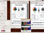 Xsane in action with Pixma MP610 and scanner driver