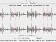 Chop Loop into Slices - Automatic slices detection