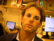 Illustration of the eye detection tool