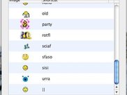 Custom emoticon Panel
