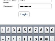 Login Page