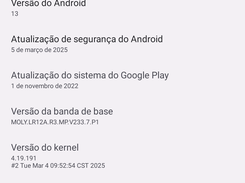 Sobre a versão do Android 13