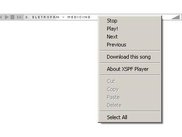 XSPF Web Music Player context menu