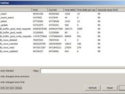 Global status windows