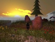 Sunset in the Enchanted Grove