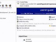 After guest user creation