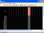 A Raster plot of spike activity