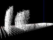 Network : 6 Purkinje, 6240 granule cells (330,000 equations)
