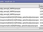 Network connectivity matrix inspector : result set