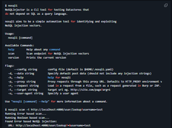 NoSQLi Screenshot 1