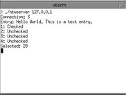 Server callback: prints text entry and radio button state