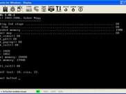 printf() test