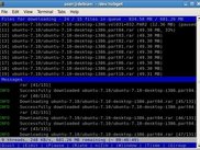 NZBGet in curses-outputmode on Linux