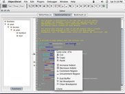 the editor