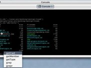 script console, showing tab completion