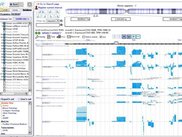 Genome Browser
