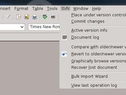 The SVN menu options in 0.4.2