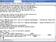 The console after connecting a peer to a remote network.