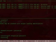 Authentication console with session reusable password