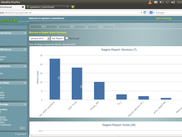 nagios report