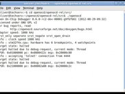 OpenOCD console