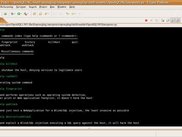 OpenSQLi-NG command processor help index