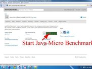1)Start Java Micro Benchmark from http://opt.sourceforge.net