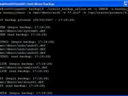 Sample output from the debug mode (-v)