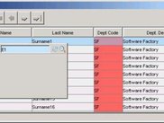 Example of grid frame