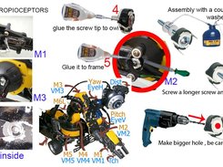Propioceptors. Knowhow to make them