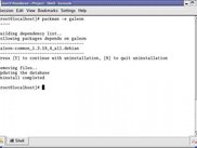 Uninstalling a package using PackMan