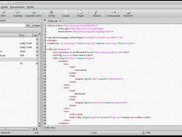 Main window with code view
