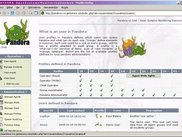 Users View
