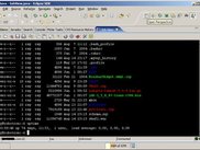 sshview fullscreen