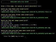 4-Auxiliary file data