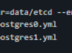 Patroni Screenshot 1