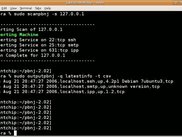 Default Scan which inserts a new host