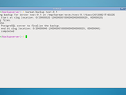 barman backup command