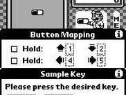 Button Mapping dialog