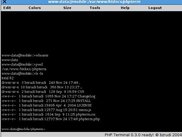 This screenshot shows the default color and size of PHPTerm